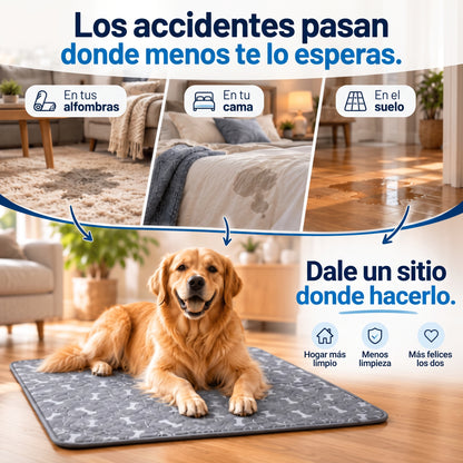 Empapador Nuvira con Feromonas