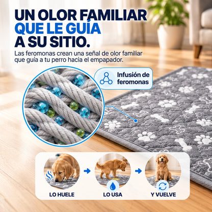 Empapador Nuvira con Feromonas